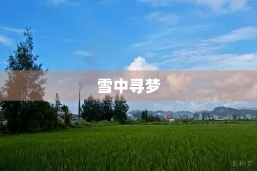 雪中寻梦