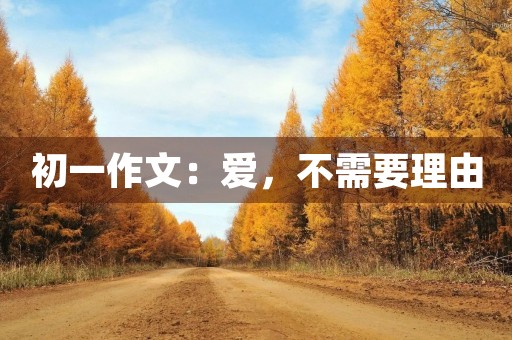 初一作文：爱，不需要理由