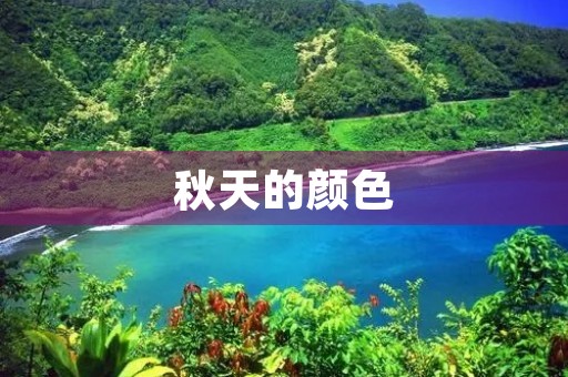 秋天的颜色 秋天的颜色
