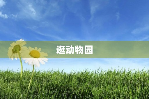 逛动物园 逛动物园