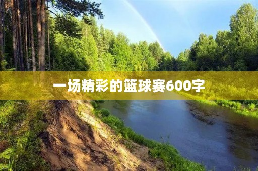一场精彩的篮球赛600字