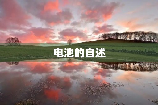 电池的自述