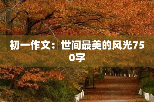 初一作文：世间最美的风光750字
