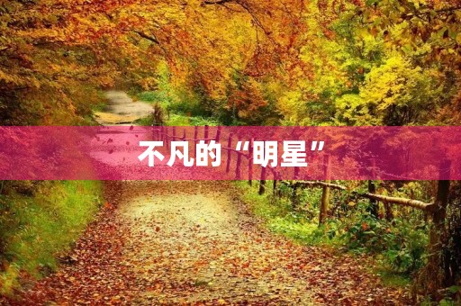 不凡的“明星” 不凡的“明星”