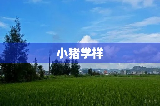 小猪学样 小猪学样