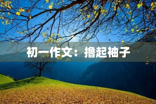 初一作文：撸起袖子