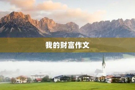 我的财富作文 我的财富作文