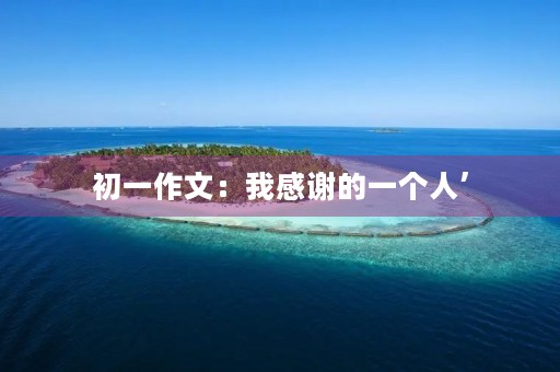 初一作文：我感谢的一个人’