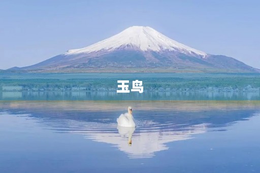 玉鸟 玉鸟