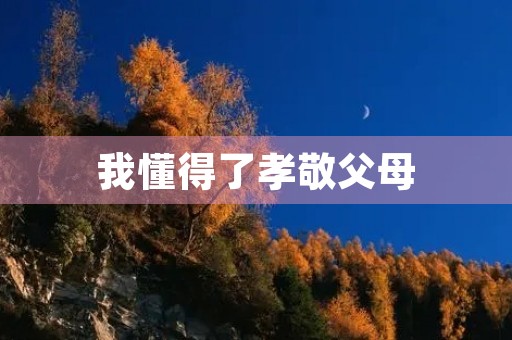 我懂得了孝敬父母