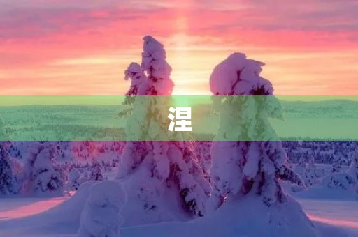 涅