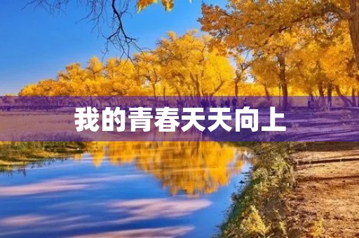 我的青春天天向上
