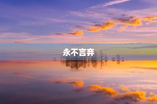 永不言弃