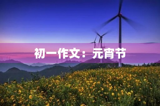 初一作文：元宵节