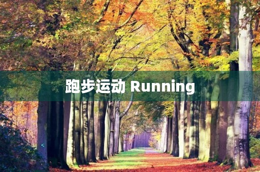 跑步运动 Running 跑步运动 Running