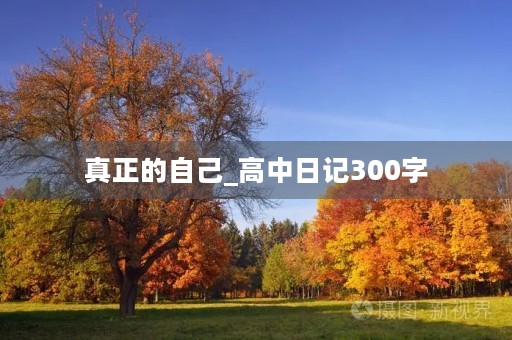 真正的自己_高中日记300字 真正的自己_高中日记300字