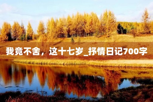 我竟不舍，这十七岁_抒情日记700字