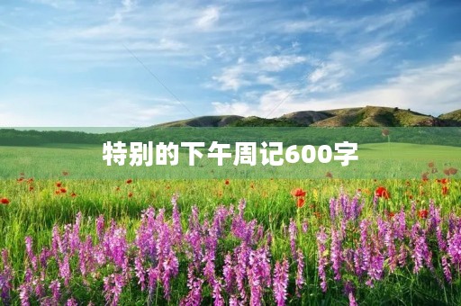 特别的下午周记600字 特别的下午周记600字