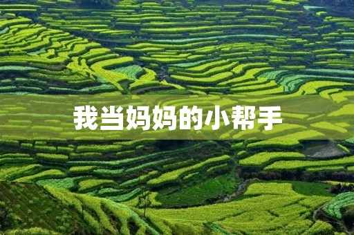 我当妈妈的小帮手 我当妈妈的小帮手