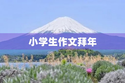 小学生作文拜年 小学生作文拜年