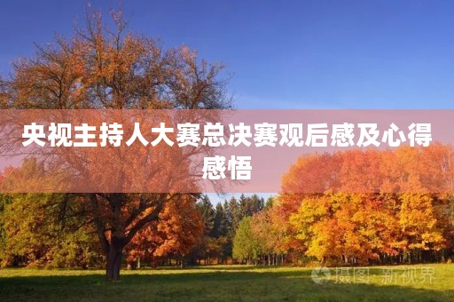 央视主持人大赛总决赛观后感及心得感悟