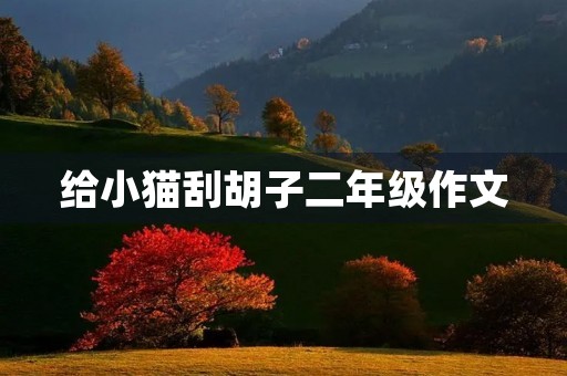 给小猫刮胡子二年级作文