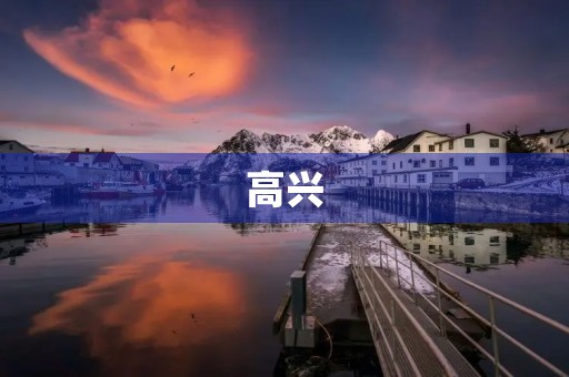 高兴 高兴