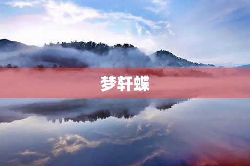 梦轩蝶