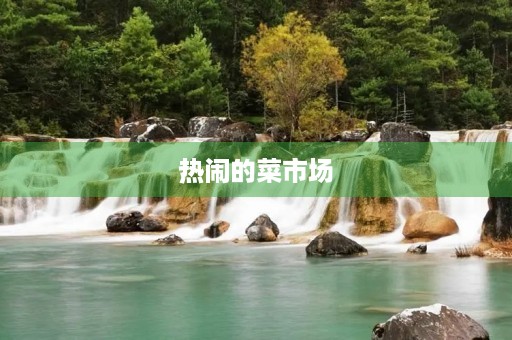 热闹的菜市场 热闹的菜市场