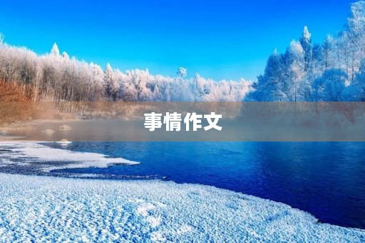事情作文 事情作文