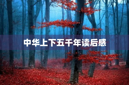 中华上下五千年读后感 中华上下五千年读后感