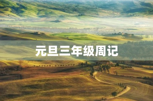 元旦三年级周记 元旦三年级周记