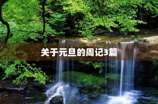 关于元旦的周记3篇