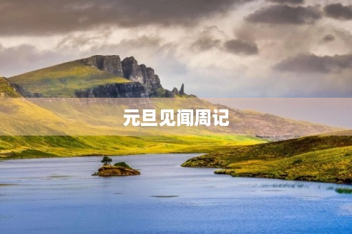 元旦见闻周记 元旦见闻周记