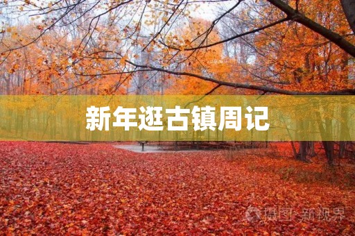 新年逛古镇周记 新年逛古镇周记