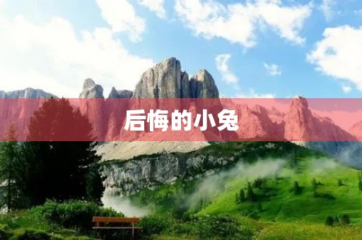 后悔的小兔 后悔的小兔