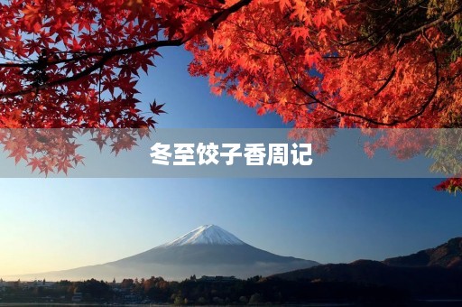 冬至饺子香周记