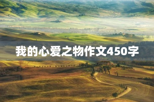 我的心爱之物作文450字 我的心爱之物作文450字
