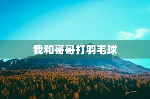 我和哥哥打羽毛球 我和哥哥打羽毛球