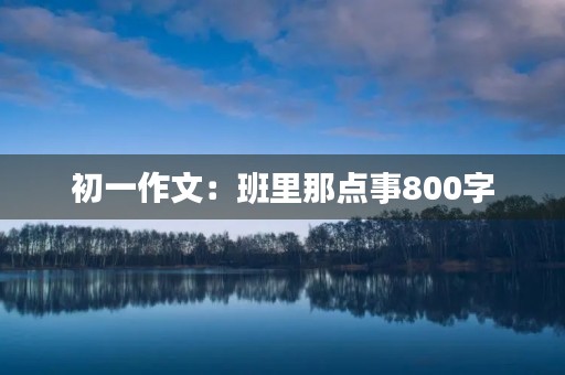 初一作文：班里那点事800字