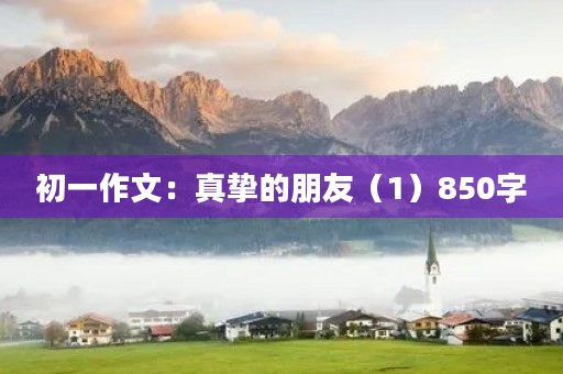 初一作文：真挚的朋友（1）850字