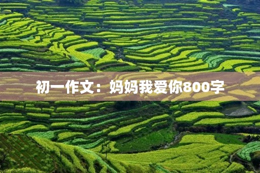 初一作文:妈妈我爱你800字 初一作文:妈妈我爱你800字