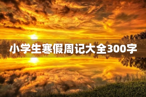 小学生寒假周记大全300字