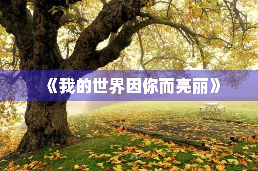 《我的世界因你而亮丽》