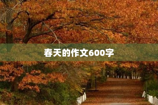 春天的作文600字 春天的作文600字