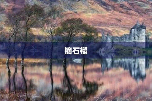 摘石榴 摘石榴