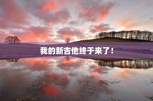 我的新吉他终于来了! 我的新吉他终于来了!