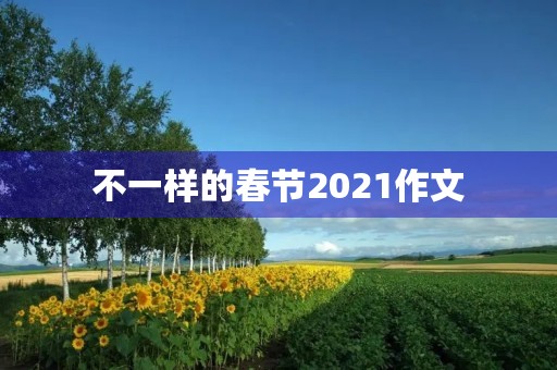 不一样的春节2021作文 不一样的春节2021作文