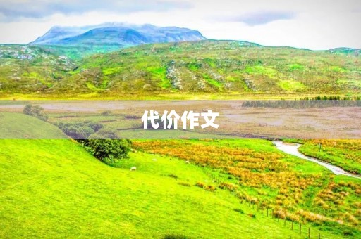 代价作文 代价作文