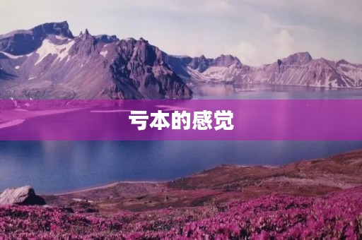 亏本的感觉